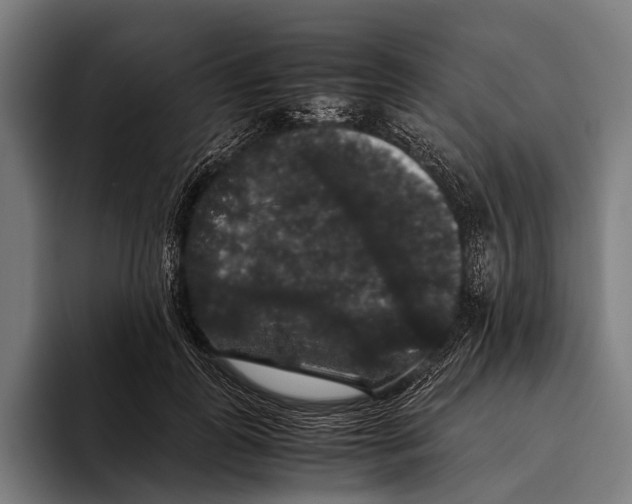 X0000093370747200711081524