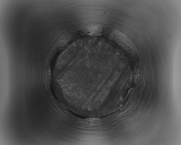 X0000093370748200711081524