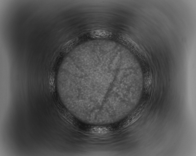 X0000093370749200711081524