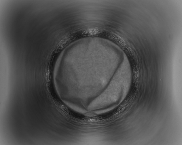 X0000093370750200711081524