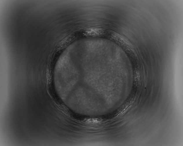 X0000093370751200711081524