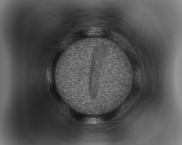 X0000093370755200711081524