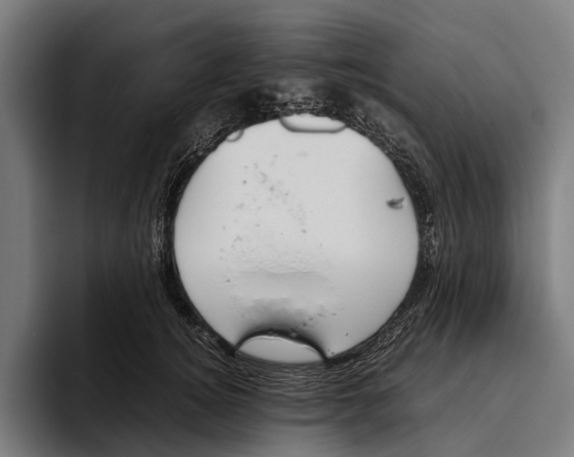 X0000093370756200711081524