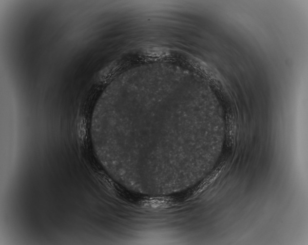 X0000093370758200711081524