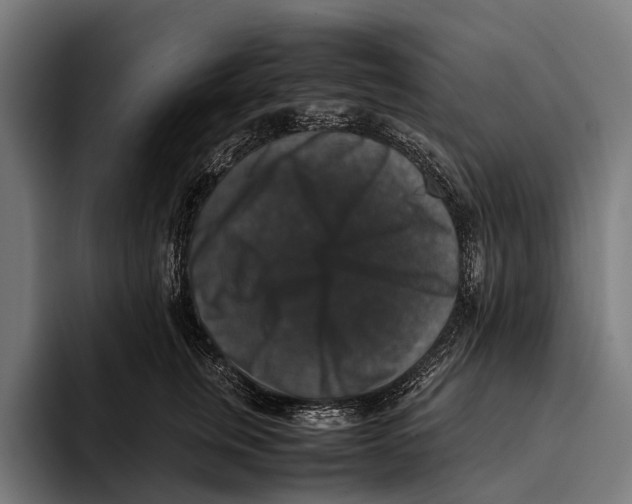 X0000093370759200711081524