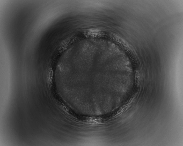 X0000093370760200711081524