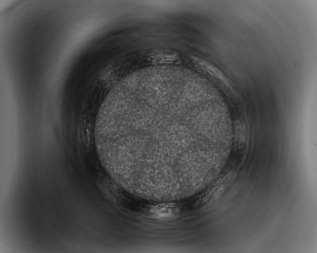 X0000093370761200711081524