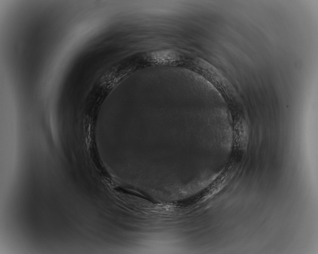 X0000093370762200711081524