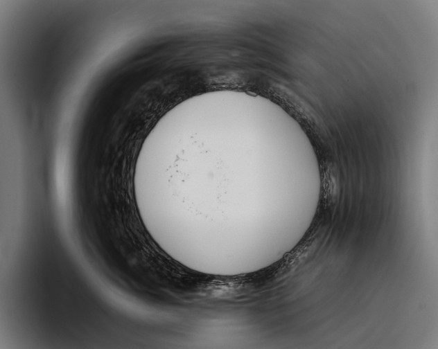 X0000093370764200711081525