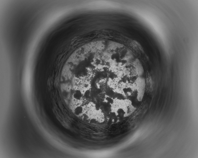 X0000093370765200711081525