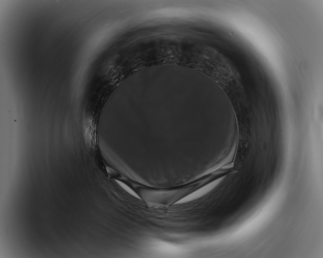 X0000093370766200711081525