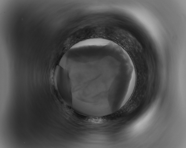 X0000093370767200711081525