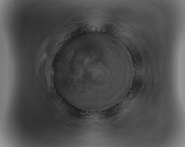 X0000093370769200711081524