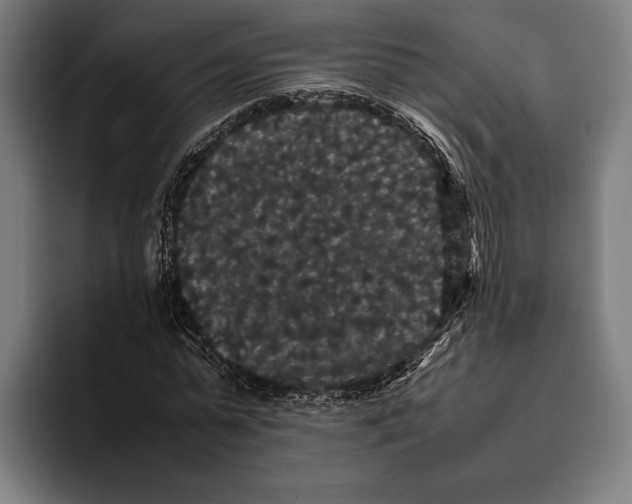 X0000093370775200711081524