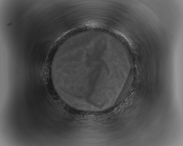 X0000093370776200711081524
