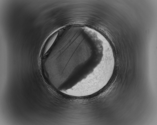 X0000093370779200711081524