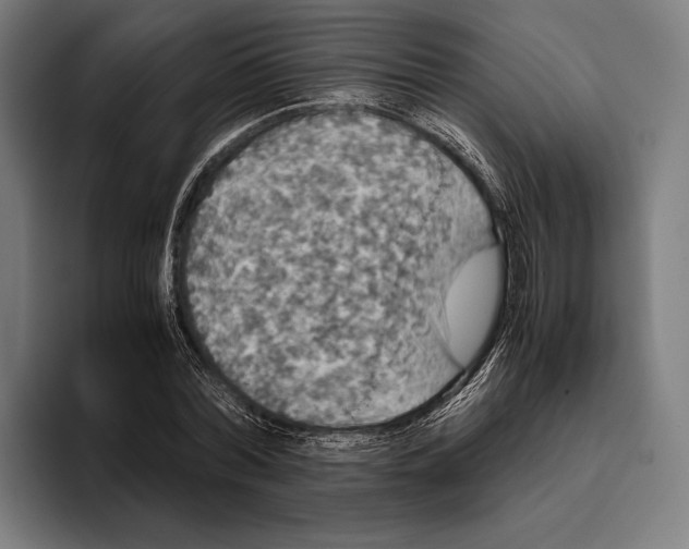 X0000093370780200711081524