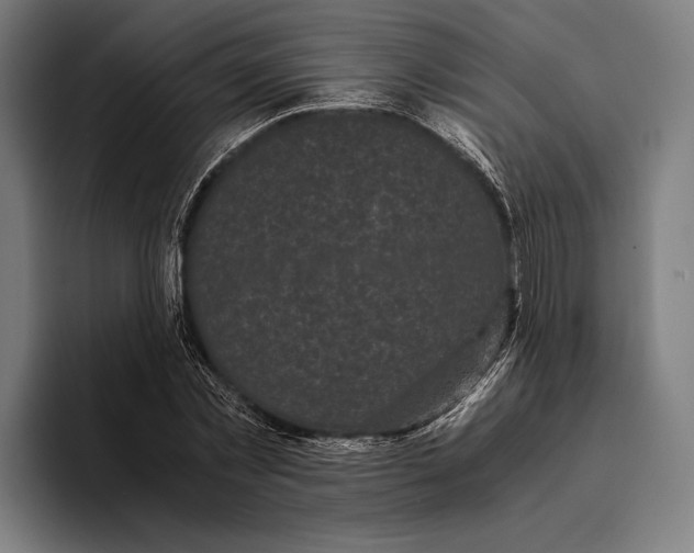 X0000093370781200711081524