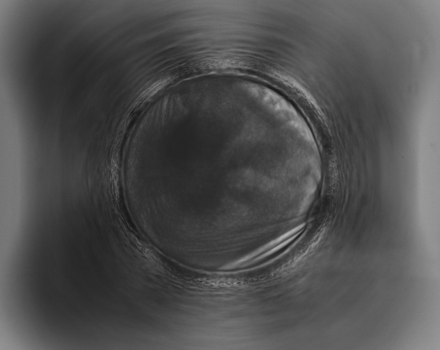 X0000093370785200711081524