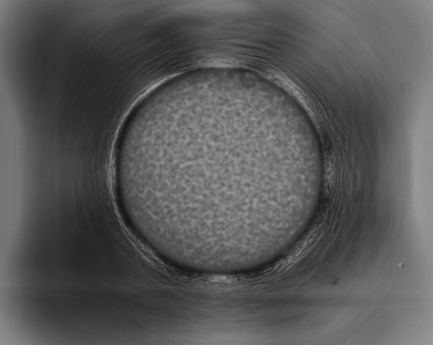 X0000093370787200711081524