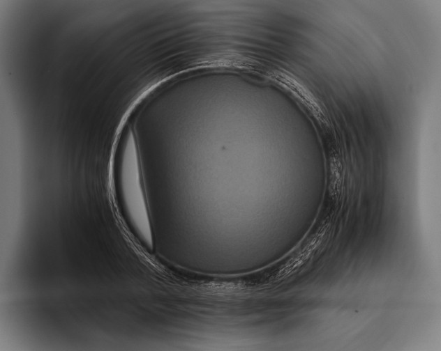 X0000093370788200711081524
