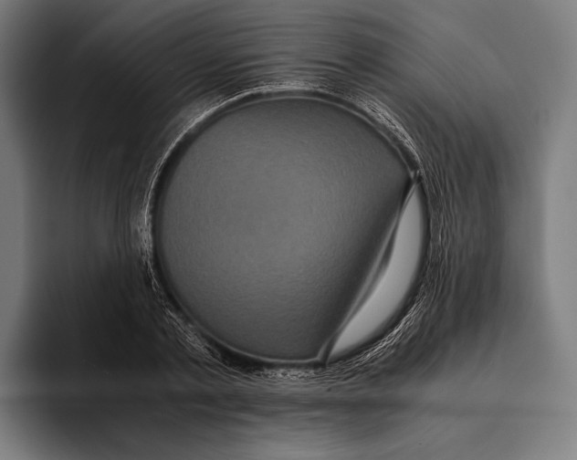 X0000093370789200711081524