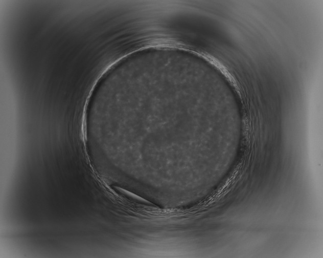 X0000093370791200711081524