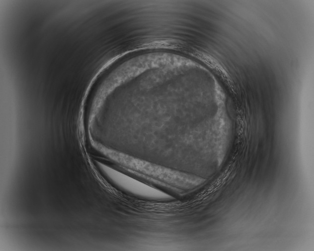 X0000093370792200711081524