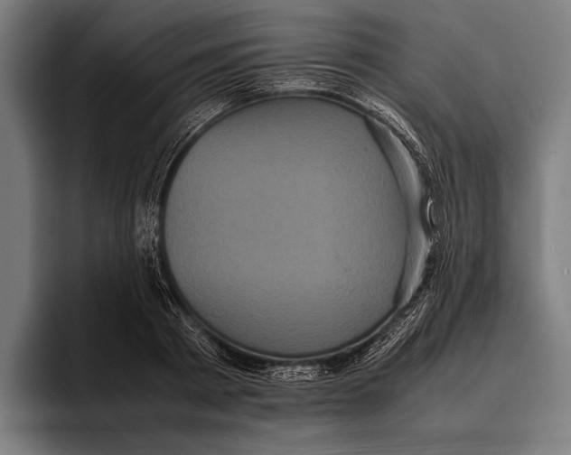 X0000093370793200711081524