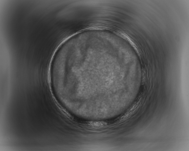 X0000093370795200711081524