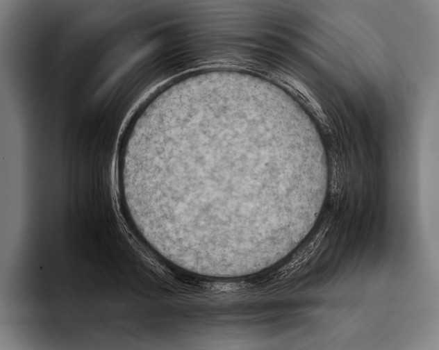 X0000093370796200711081524