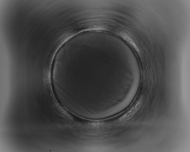 X0000093370797200711081524