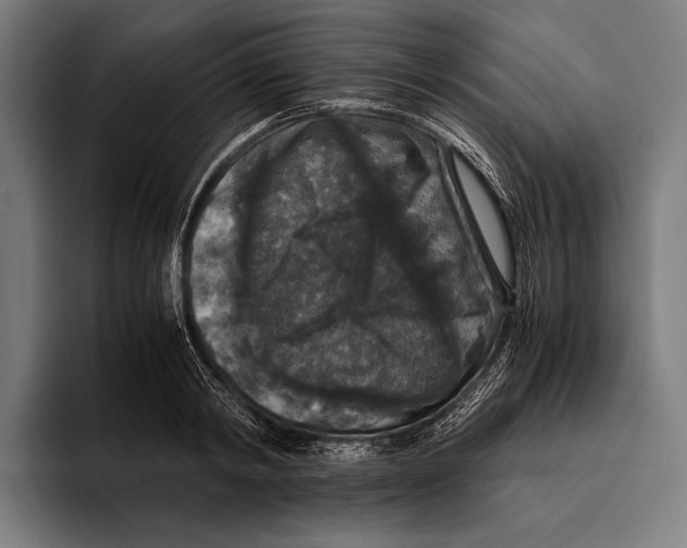 X0000093370798200711081524