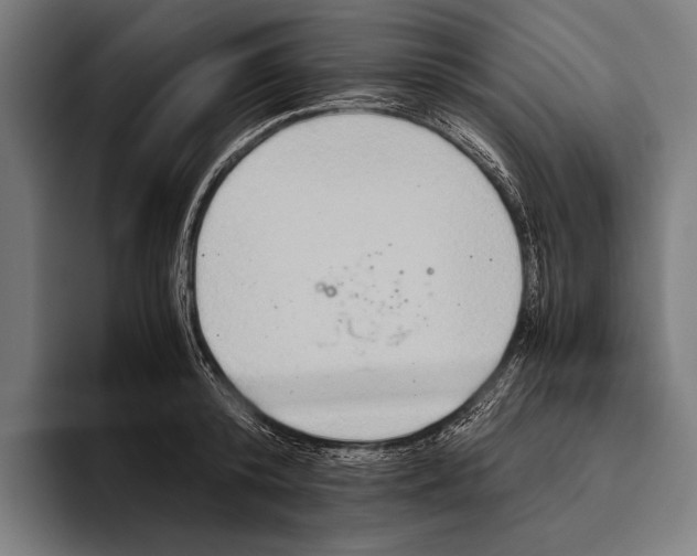 X0000093370800200711081524