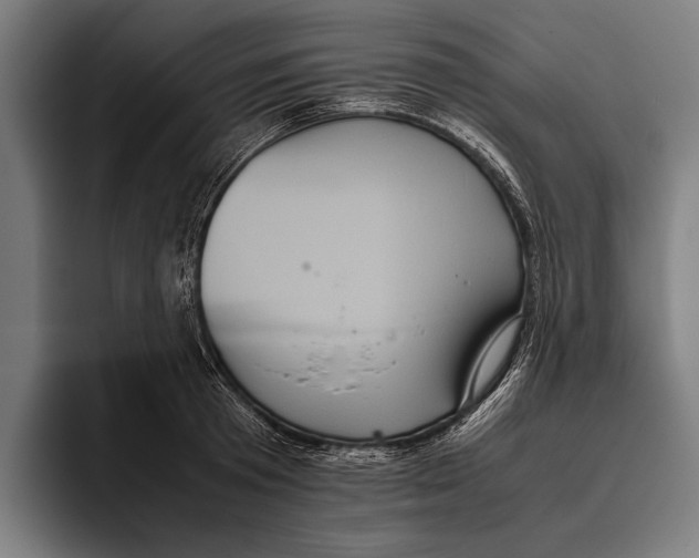 X0000093370801200711081524