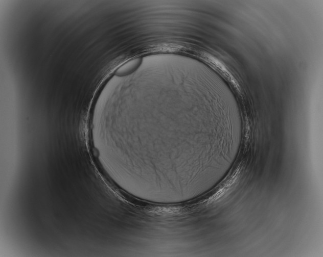 X0000093370802200711081524