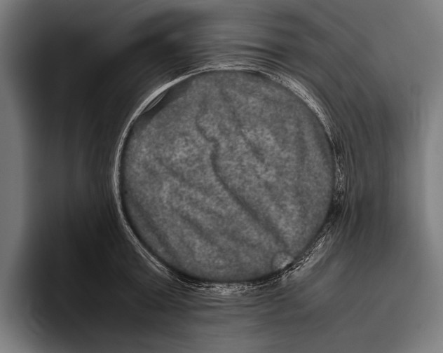 X0000093370803200711081523