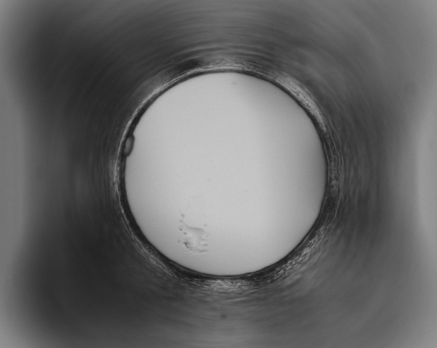 X0000093370805200711081523