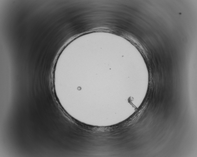 X0000093370808200711081523
