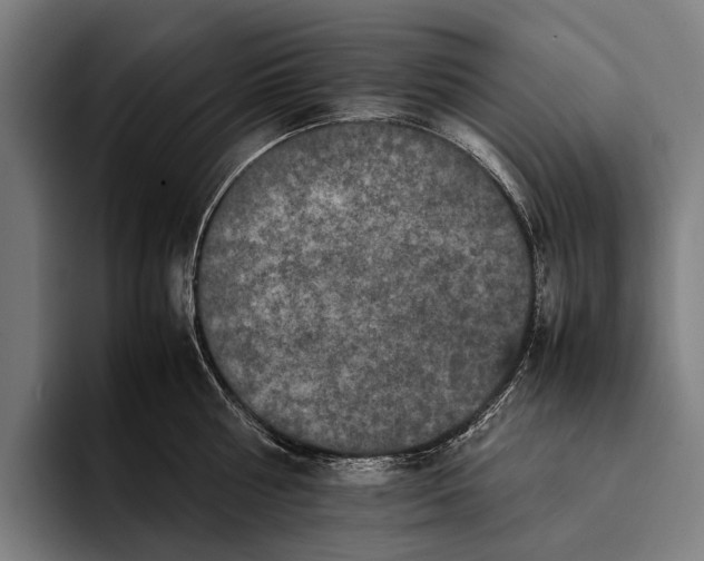 X0000093370810200711081523