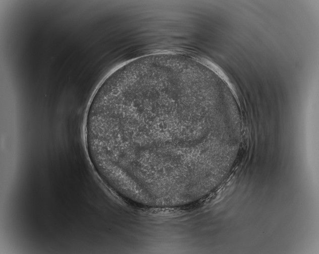 X0000093370811200711081523