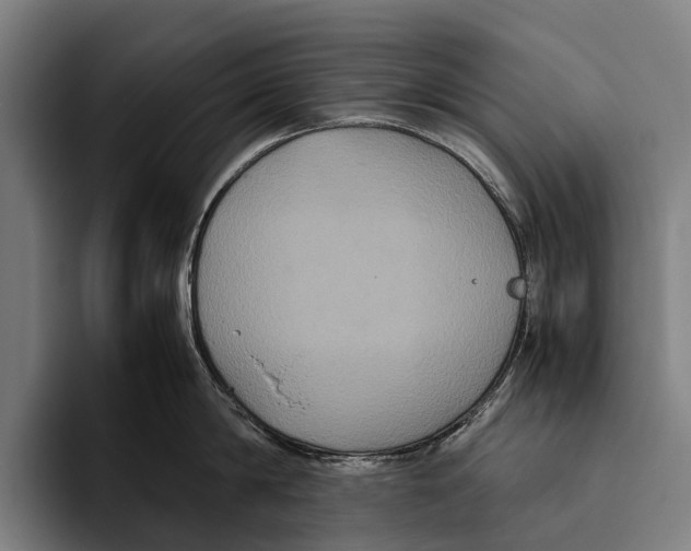 X0000093370814200711081523
