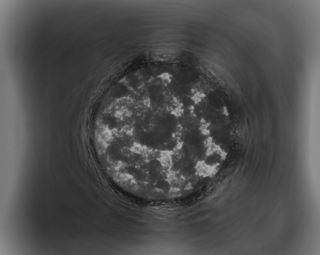 X0000093370817200711081523