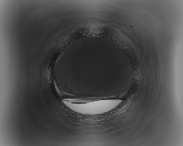 X0000093370818200711081523