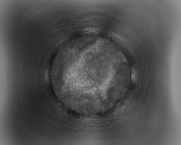 X0000093370819200711081523
