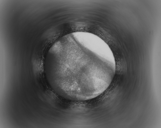 X0000093370820200711081523