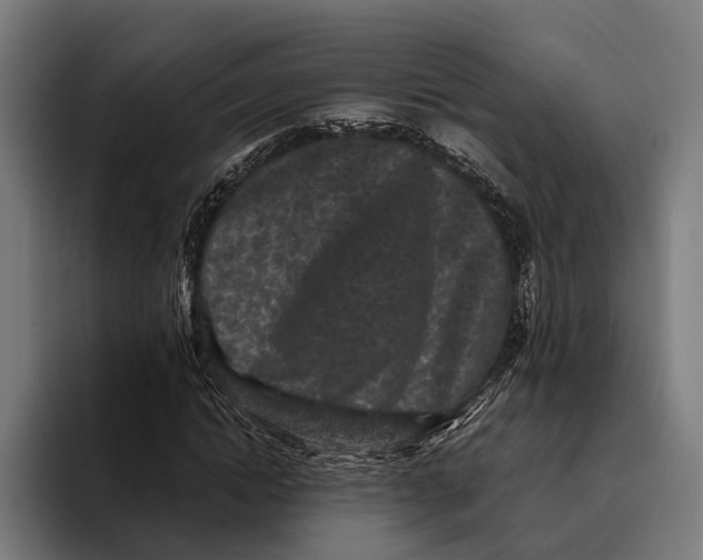 X0000093370822200711081523