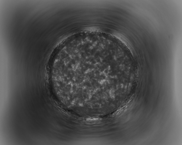 X0000093370823200711081523