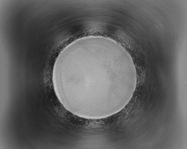 X0000093370824200711081523