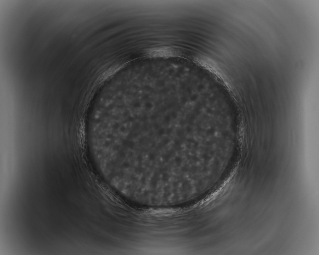 X0000093370825200711081523